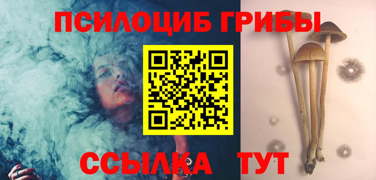 где купить   Вход с VPN  Усть-Илимск  Псилоцибиновые грибы мицелий  Псилоцибиновые грибы ЛСД 