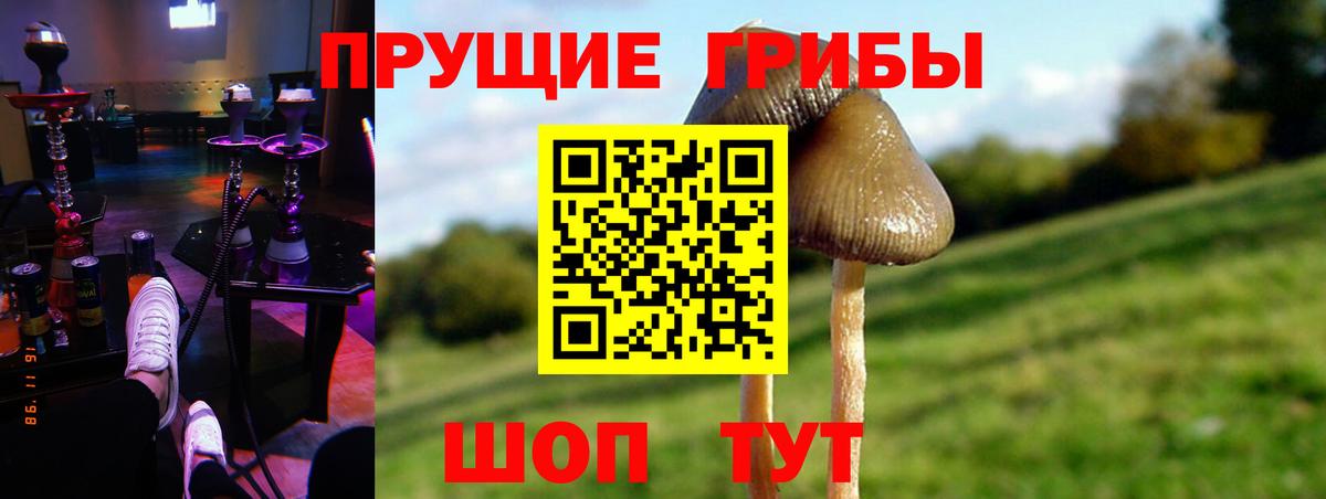 Галлюциногенные грибы мицелий Усть-Илимск